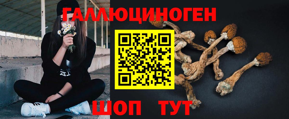 Псилоцибиновые грибы GOLDEN TEACHER  Псилоцибиновые грибы Psilocybine cubensis  наркотики  Вход с VPN  Керчь 